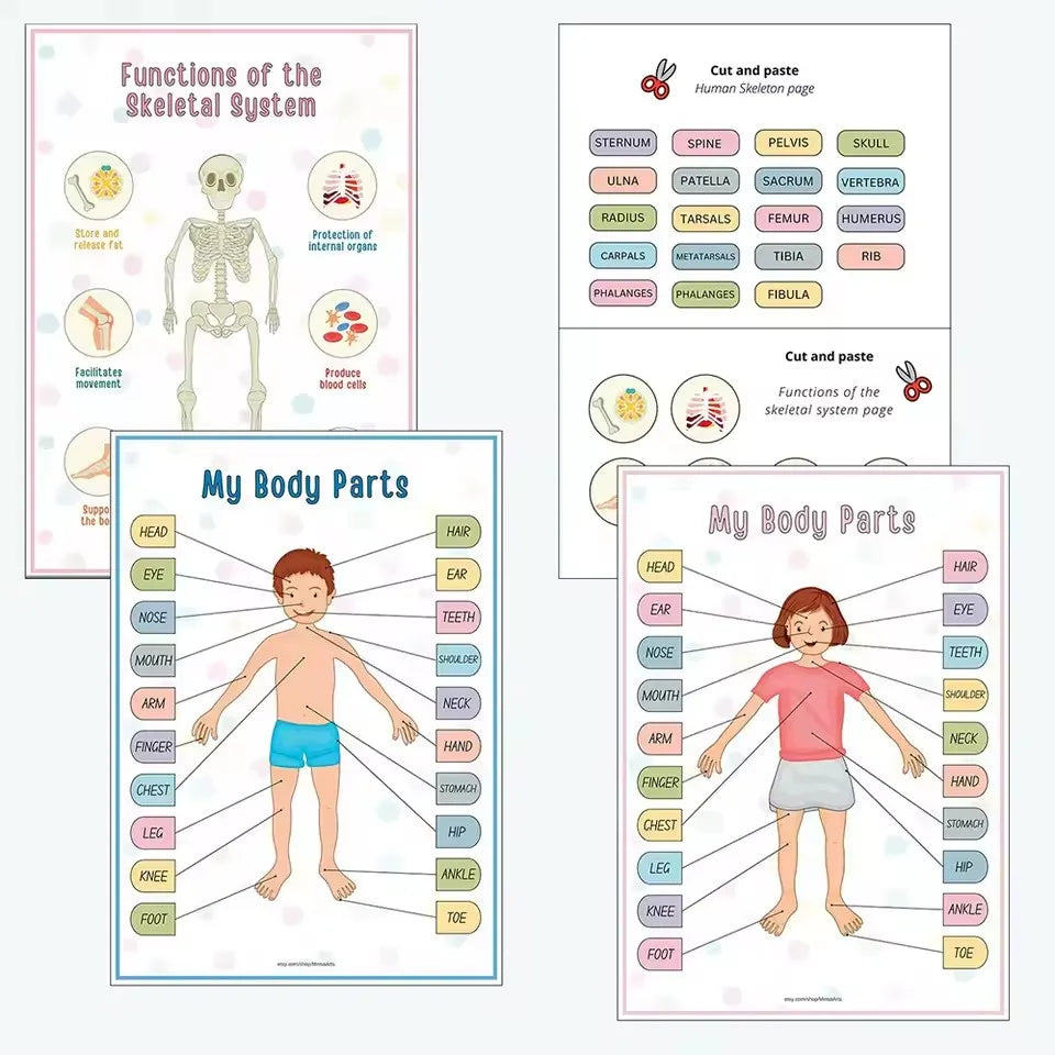 Children's Human Anatomy Busy Book - Explore the Marvels of Body Medical Enlightenment Educational Activity