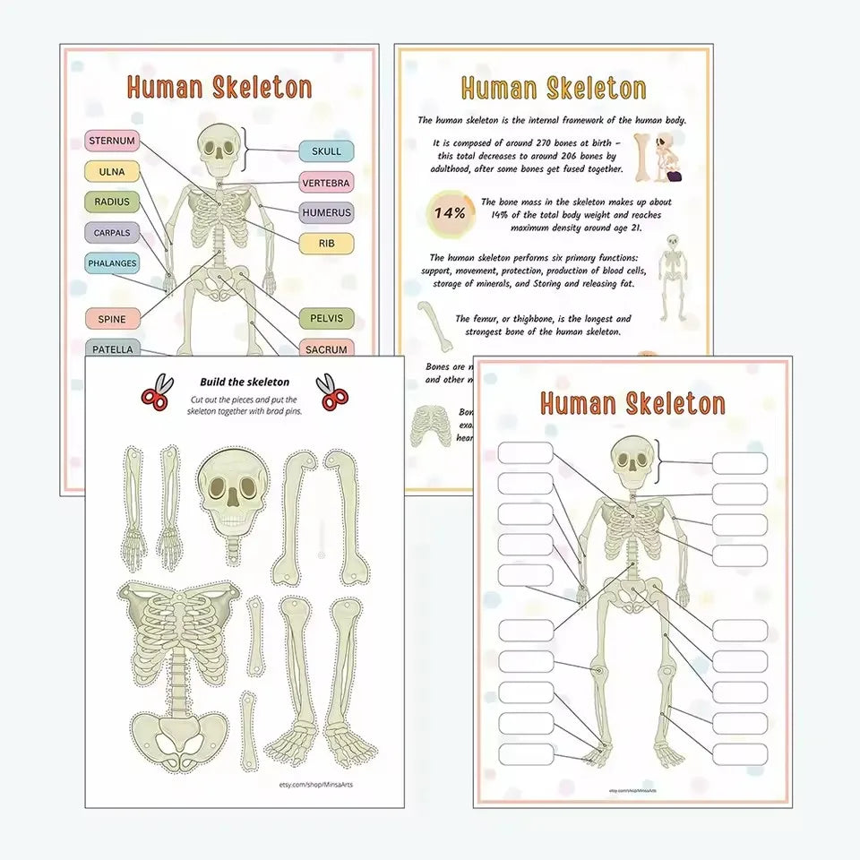Children's Human Anatomy Busy Book - Explore the Marvels of Body Medical Enlightenment Educational Activity