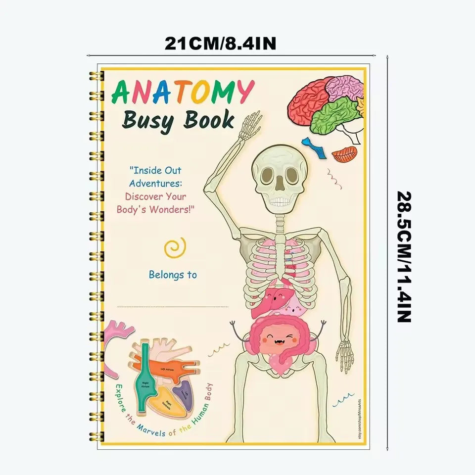 Children's Human Anatomy Busy Book - Explore the Marvels of Body Medical Enlightenment Educational Activity