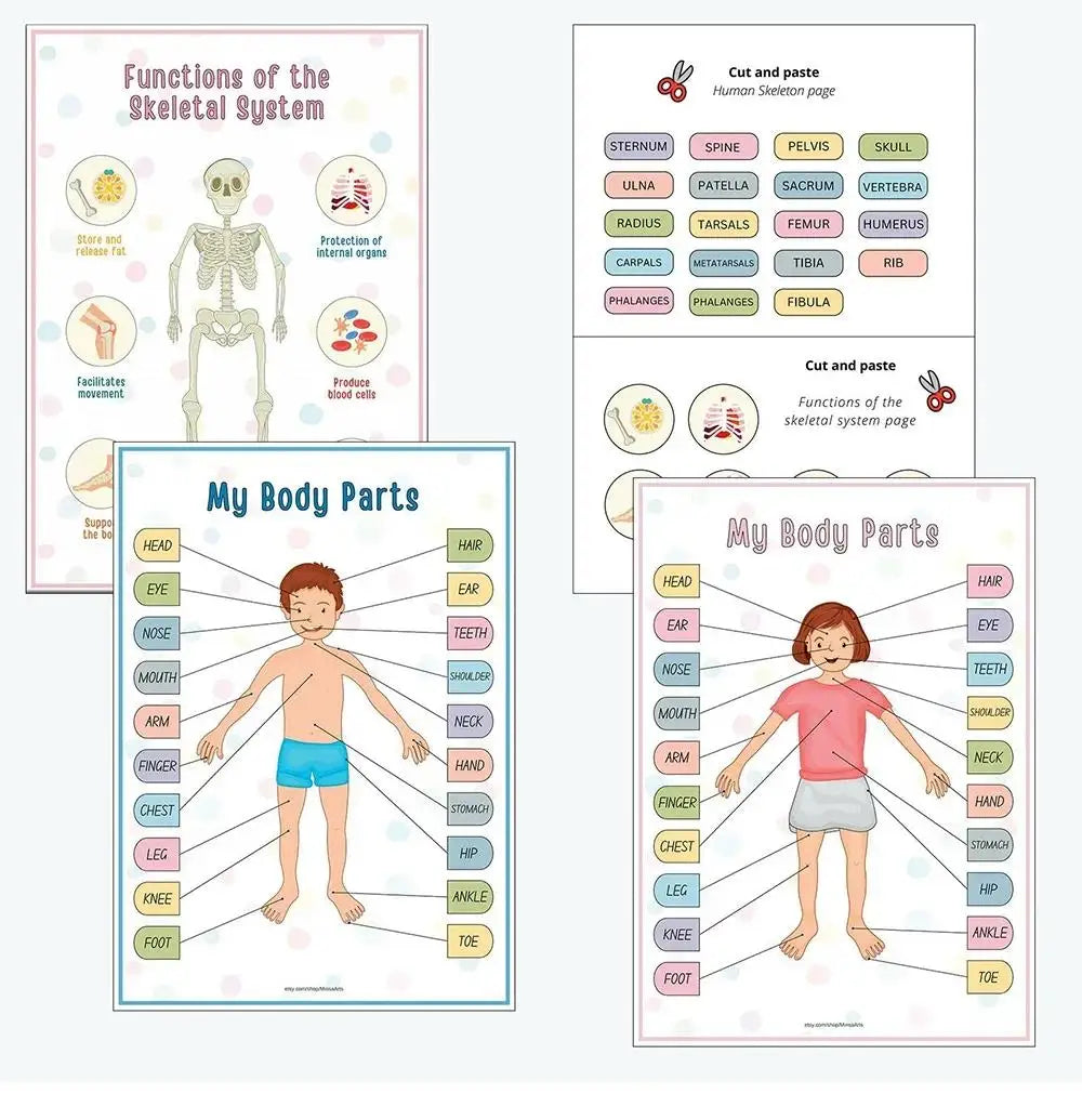 Children's Human Anatomy Busy Book - Explore the Marvels of Body Medical Enlightenment Educational Activity